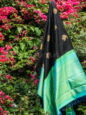 Black Body WIth Sea Green Border