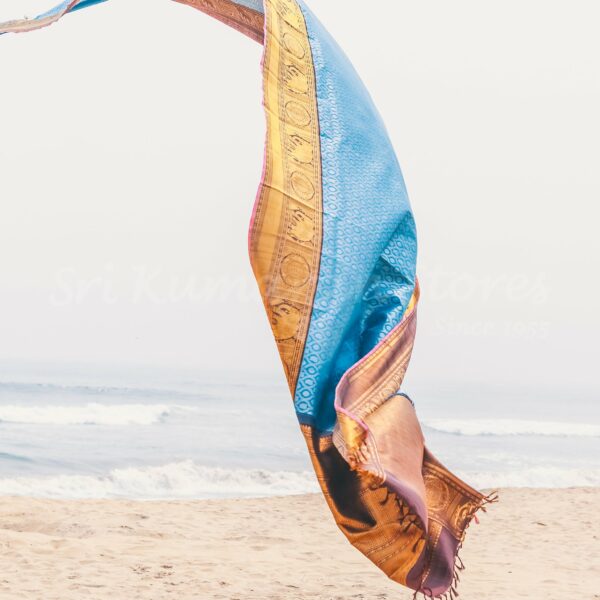 Blue Body With Black Border - Image 5