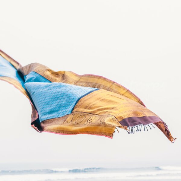 Blue Body With Black Border - Image 7