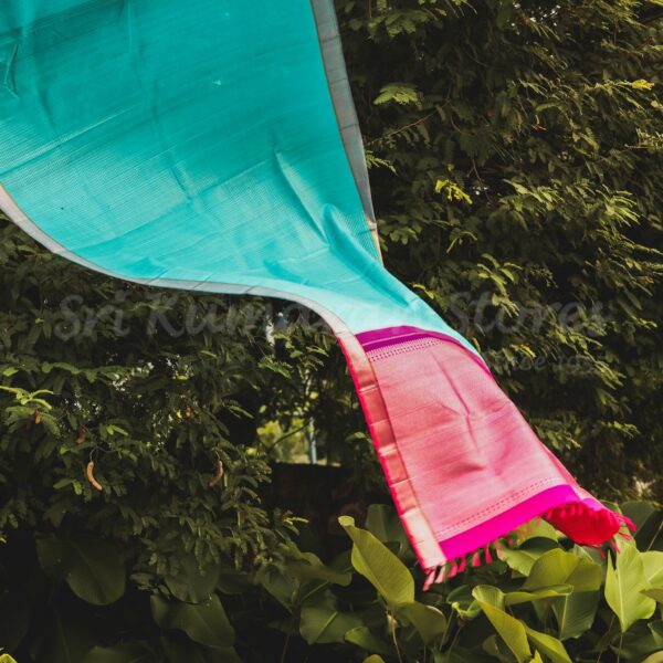 Blue Body With Pink Pallu
