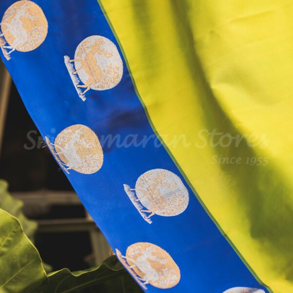 Green Body With Blue Border - Image 3