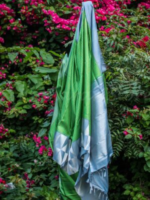 Green Body With Grey Border
