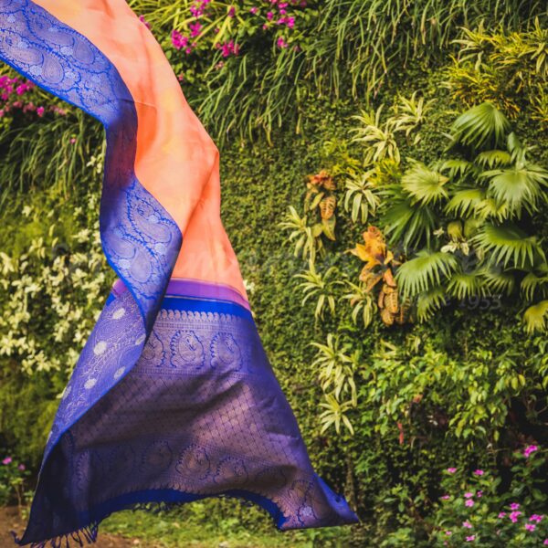 Orange Body With Blue Border