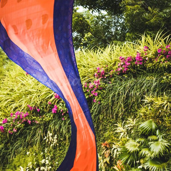 Orange Body With Blue Border - Image 2