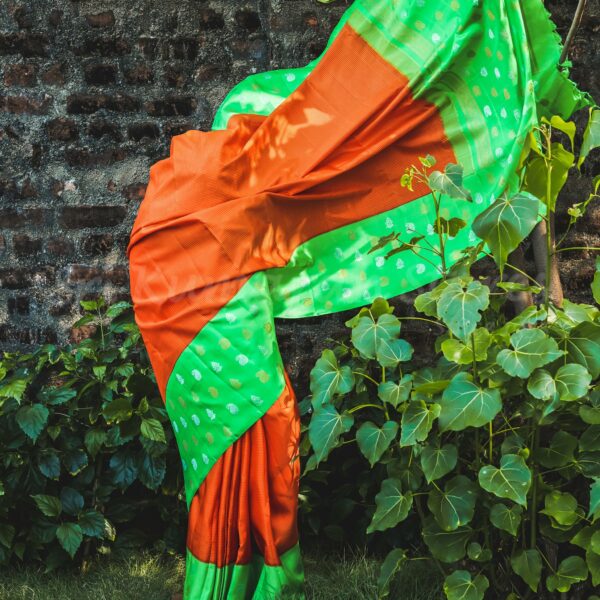 Orange Body with Green Border
