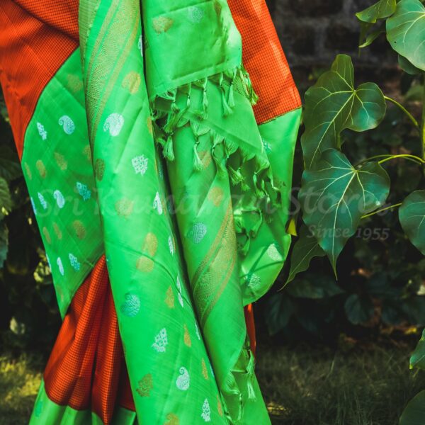 Orange Body with Green Border - Image 2