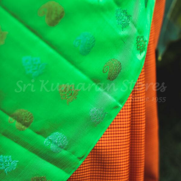 Orange Body with Green Border - Image 4