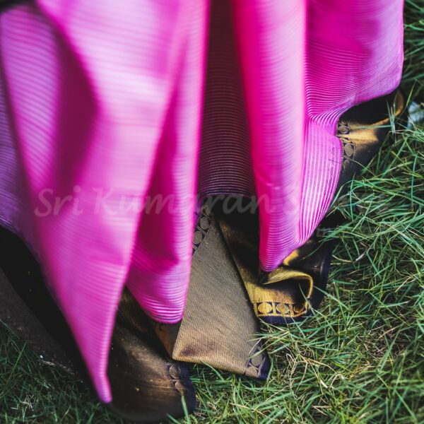 Pink Body With Black Border, Purple Pallu
