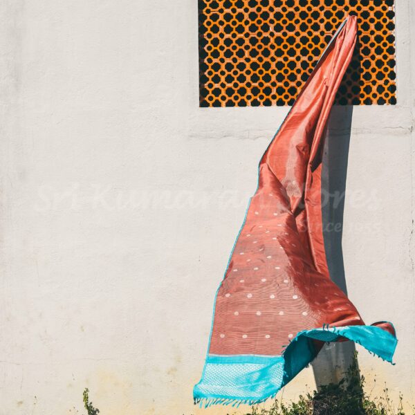 Pink Body With Sea Green Pallu