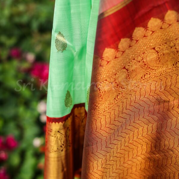 Pista Green Body With Maroon Border