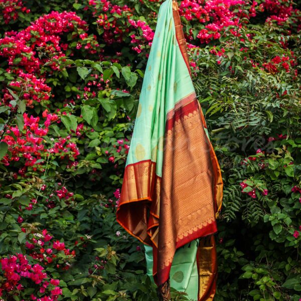 Pista Green Body With Maroon Border - Image 2