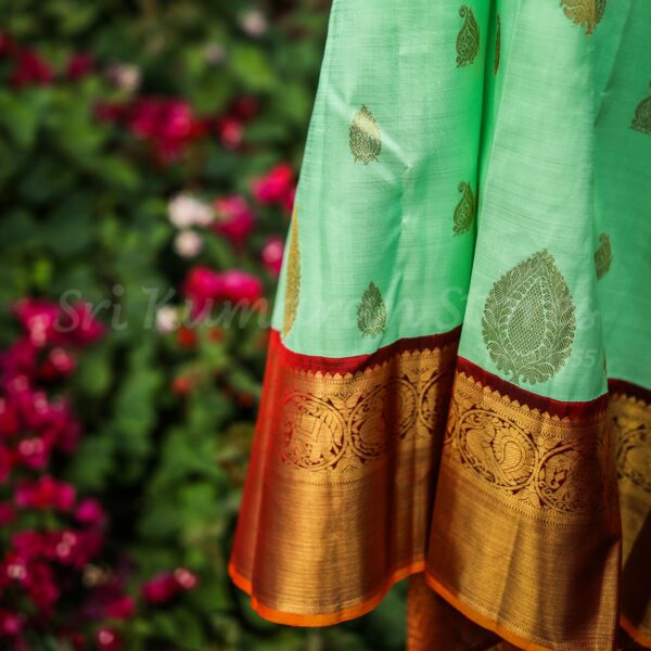 Pista Green Body With Maroon Border - Image 3