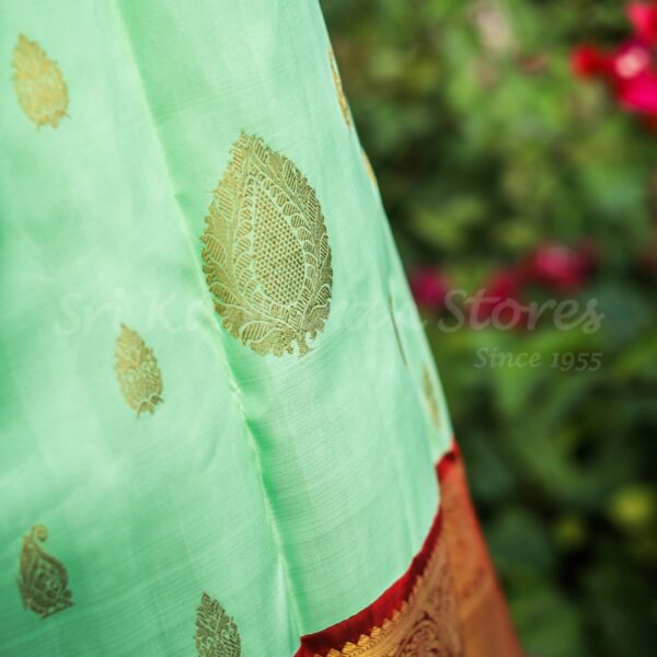 Pista Green Body With Maroon Border - Image 4