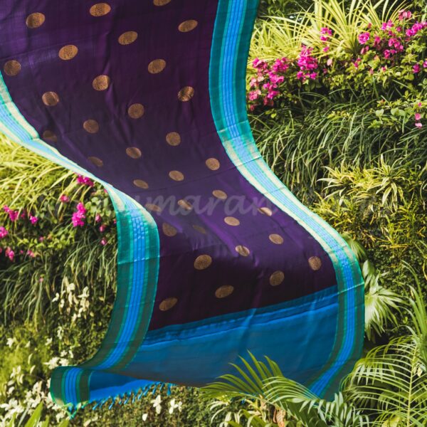 Purple Body With Green-Blue Border