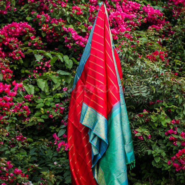 Red Body With Blue-Green Border - Image 3