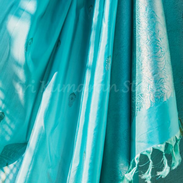 Sea Green Body With One Side Border