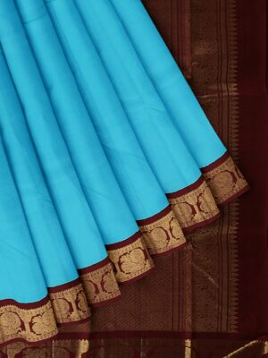 Blue Saree with Brown and Gold Border