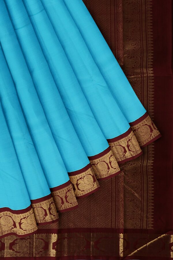 Blue Saree with Brown and Gold Border