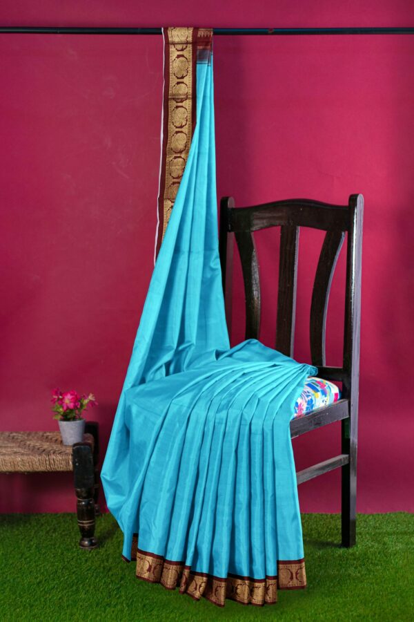 Blue Saree with Brown and Gold Border - Image 3