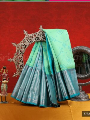 Green Saree With Blue Border
