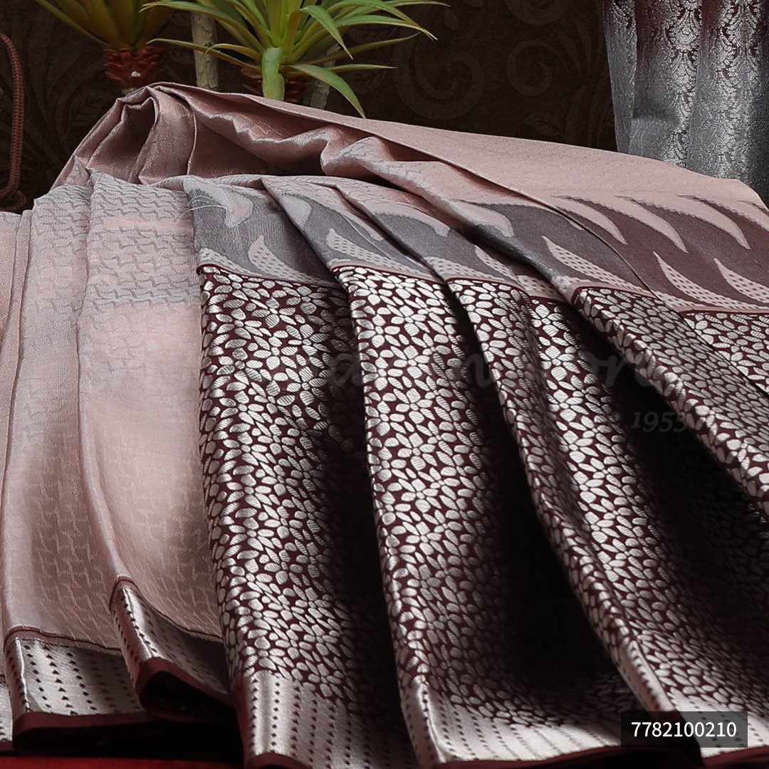 Light Brown Saree With Dark Brown Border - Image 3