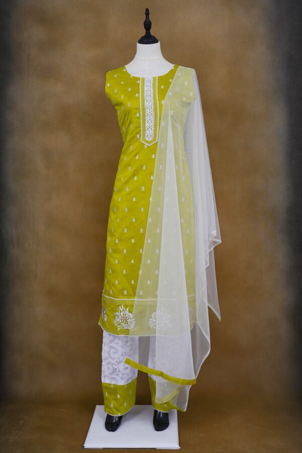Green design top with white bottom and netted shawl kurti