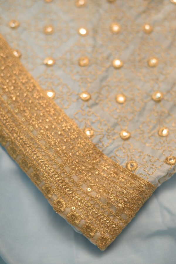 Sky Blue with Brown design on top lehenga - Image 4