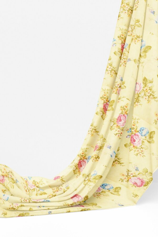 Half white saree with half white border - Image 3