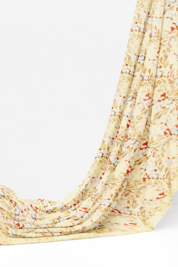 Half white saree with half white border - Image 3