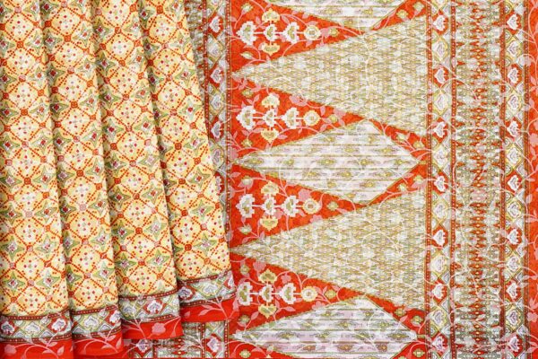 Half white saree with red border - Image 4
