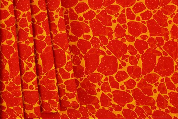 Orange saree with orange border - Image 4