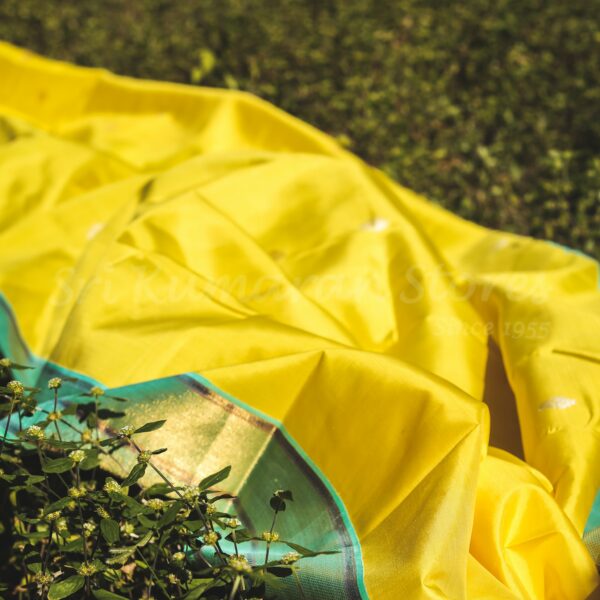 Yellow Body With Sea Green Border