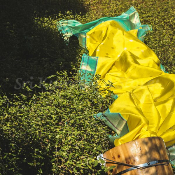 Yellow Body With Sea Green Border - Image 2