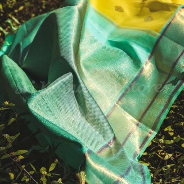 Yellow Body With Sea Green Border - Image 3
