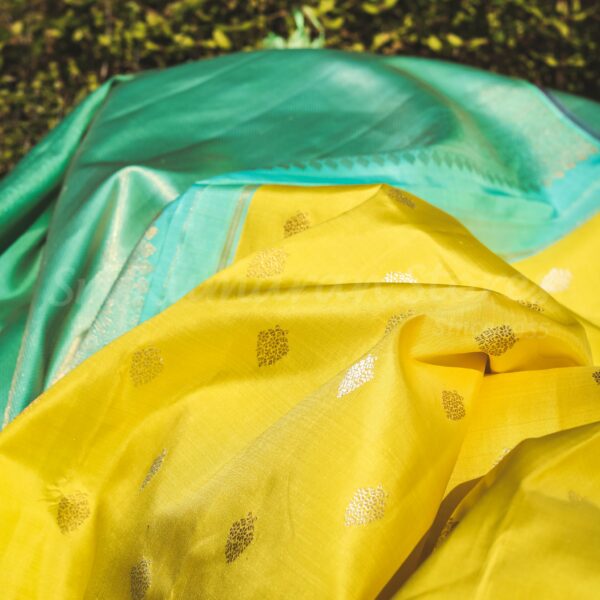 Yellow Body With Sea Green Border - Image 4