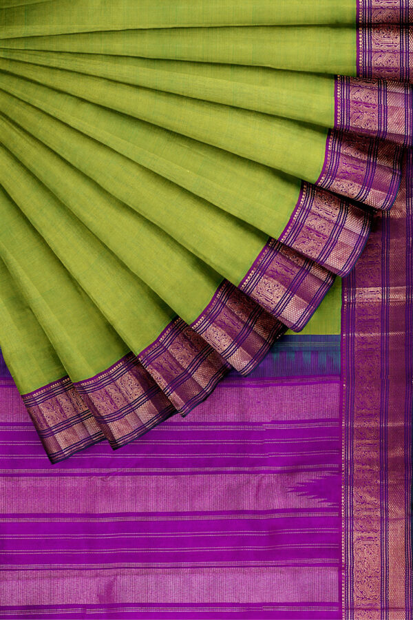 sri kumaran stores kanchipuram silk saree parrot green saree with golden purple border 4