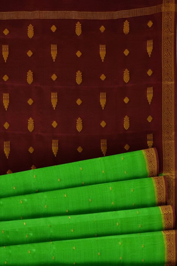 sri kumaran stores mysuru silk saree lawn green saree with brown pallu and border 5