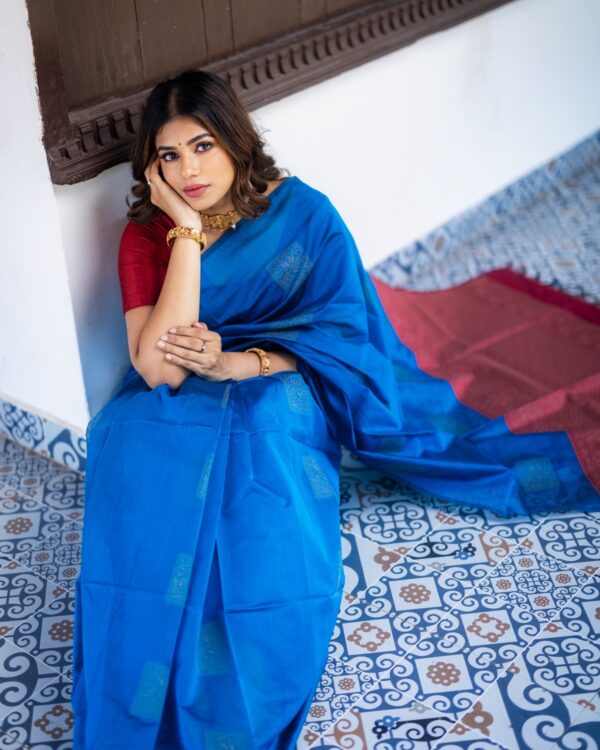 Sri kumaran stores instagram collection blue saree with blue border 1