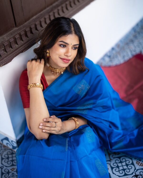 Sri kumaran stores instagram collection blue saree with blue border 2