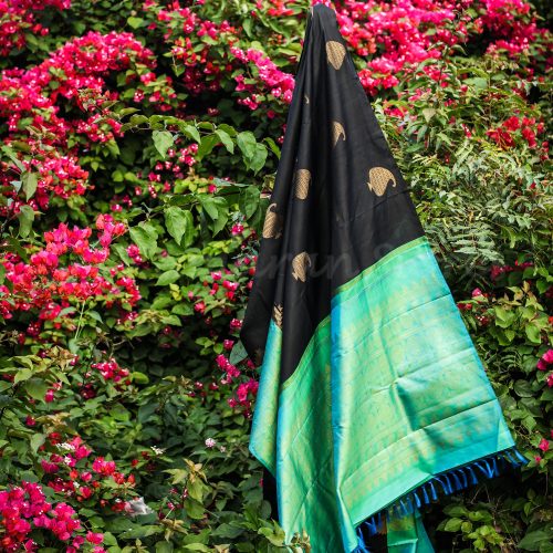 black-body-with-sea-green-border-1.jpg