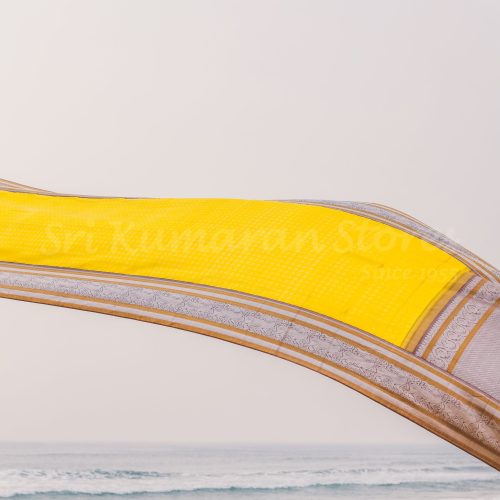 lemon-yellow-body-with-grey-border-1.jpg