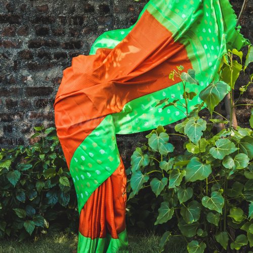 orange-body-with-green-border-1.jpg